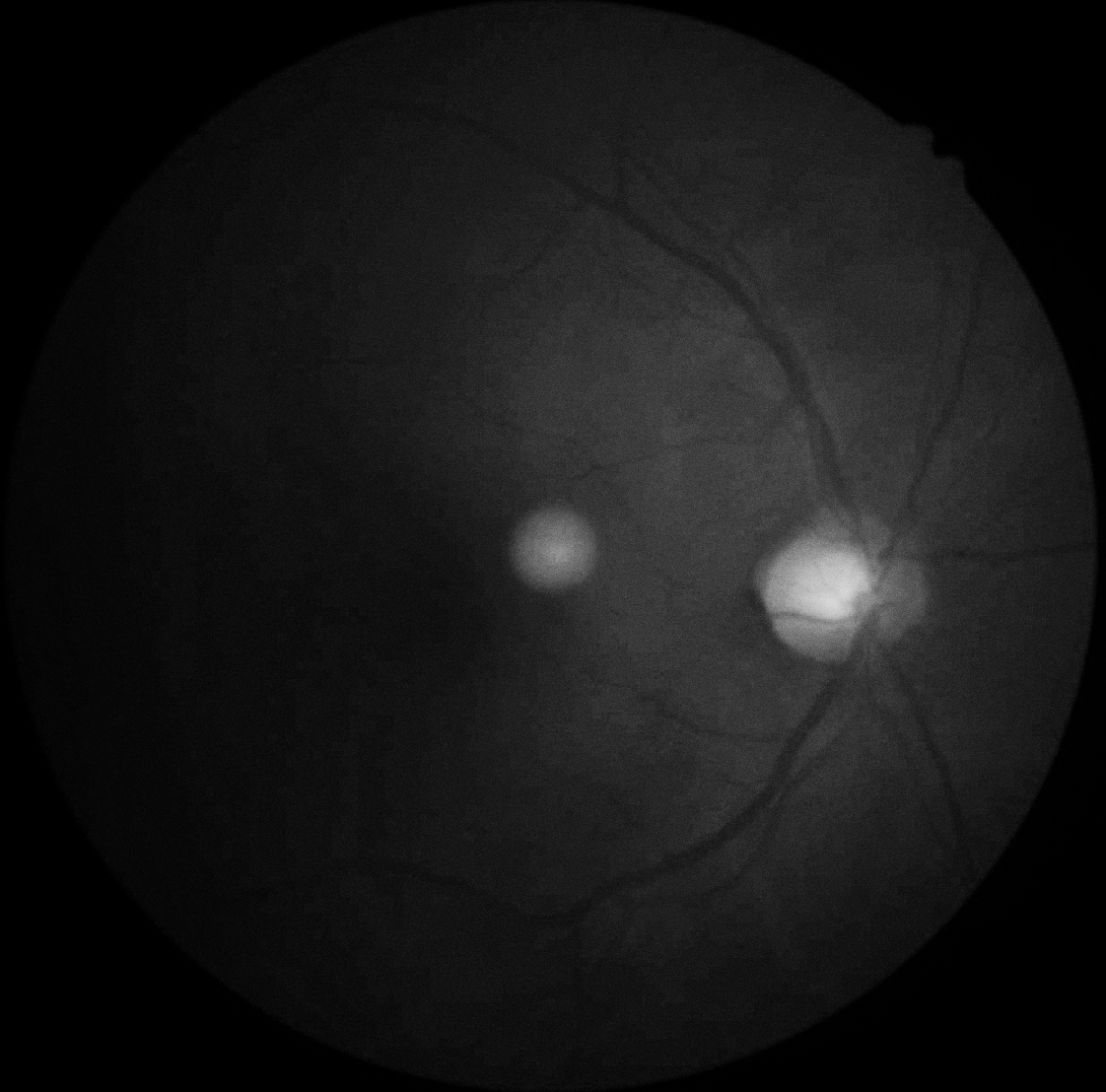 Screenshot 2026-03-12 at 23.09.22